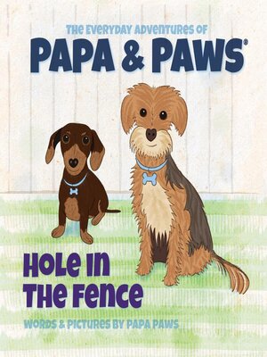 cover image of Hole in the Fence